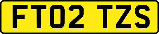FT02TZS