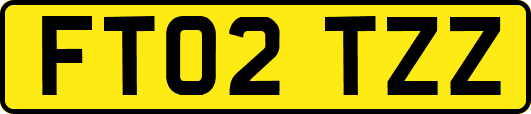 FT02TZZ