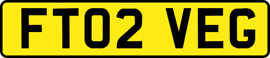 FT02VEG
