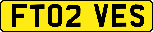 FT02VES