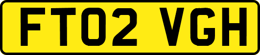 FT02VGH