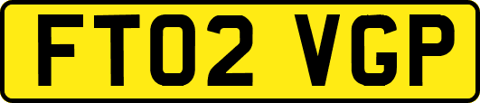 FT02VGP