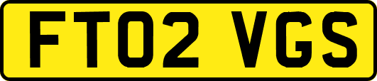 FT02VGS