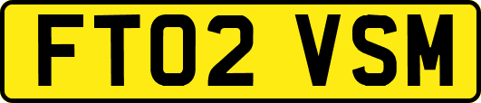 FT02VSM