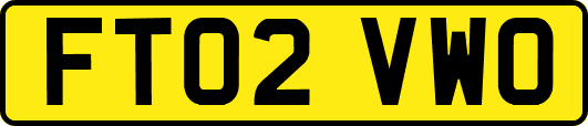 FT02VWO