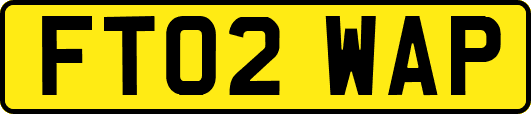 FT02WAP
