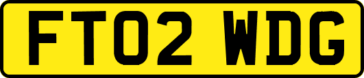 FT02WDG