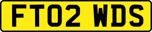 FT02WDS