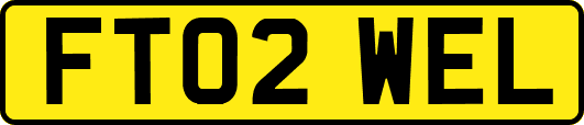 FT02WEL