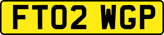 FT02WGP