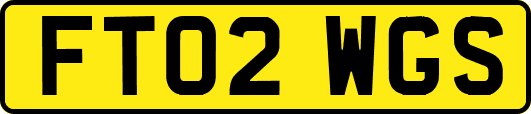 FT02WGS