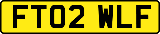 FT02WLF