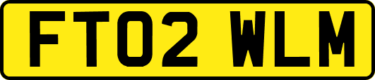 FT02WLM