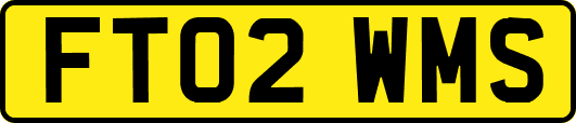 FT02WMS