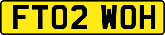 FT02WOH