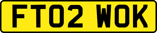 FT02WOK