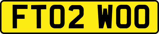 FT02WOO
