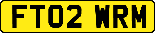 FT02WRM