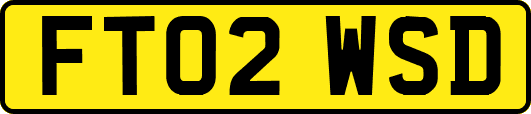 FT02WSD