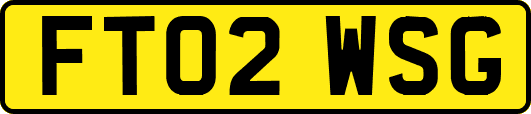 FT02WSG