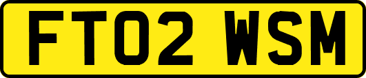 FT02WSM
