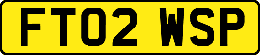 FT02WSP