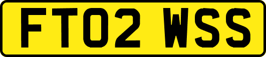 FT02WSS