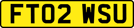 FT02WSU