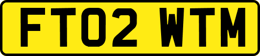 FT02WTM