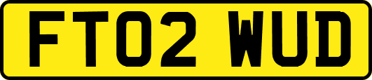 FT02WUD