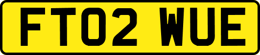 FT02WUE