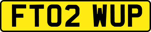 FT02WUP