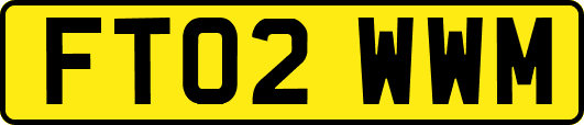 FT02WWM