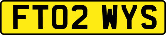 FT02WYS