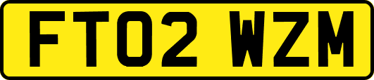 FT02WZM