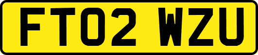 FT02WZU