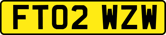 FT02WZW