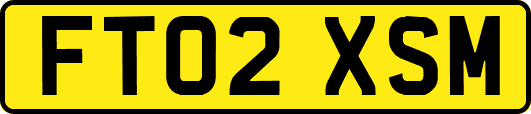 FT02XSM