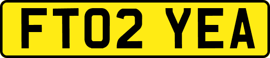 FT02YEA