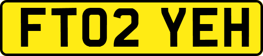 FT02YEH