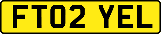 FT02YEL