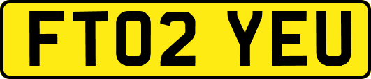 FT02YEU