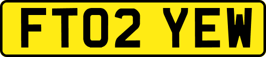 FT02YEW