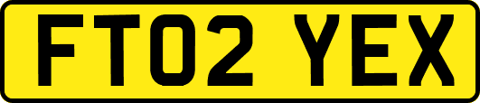 FT02YEX