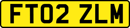 FT02ZLM