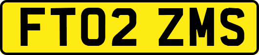 FT02ZMS