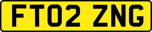 FT02ZNG
