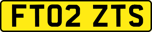 FT02ZTS
