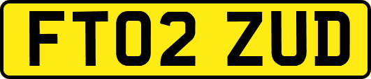 FT02ZUD