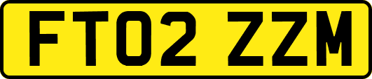 FT02ZZM